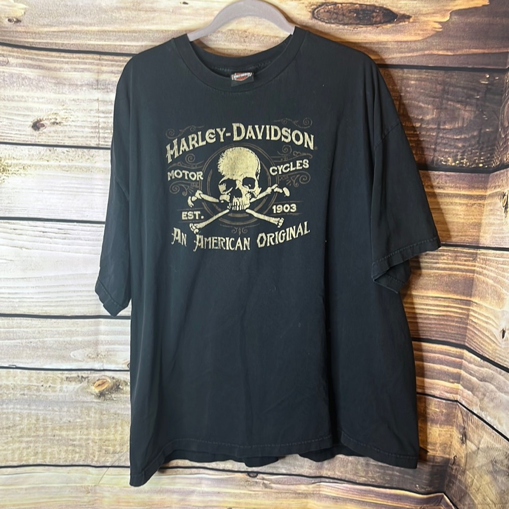 Harley Davidson t-shirt. In good used condition.